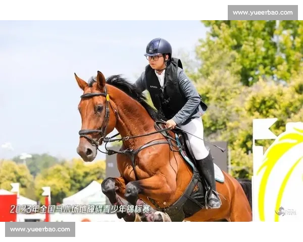 热血对决点燃赛场全国棒球锦标赛巅峰之战全纪录青春梦想荣耀征程精彩呈现